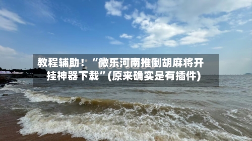 教程辅助！“微乐河南推倒胡麻将开挂神器下载	”(原来确实是有插件)-第2张图片