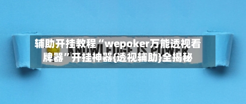辅助开挂教程“wepoker万能透视看牌器	”开挂神器{透视辅助}全揭秘-第2张图片
