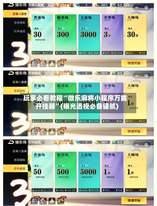 玩家必看教程“微乐麻将小程序万能开挂器”(曝光透视必备猫腻)-第2张图片