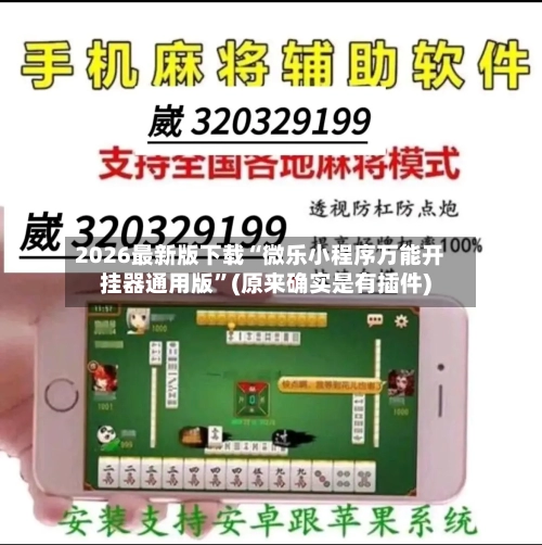 2026最新版下载“微乐小程序万能开挂器通用版”(原来确实是有插件)-第3张图片