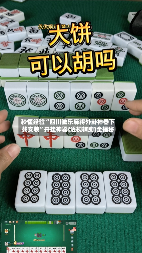 秒懂经验“四川微乐麻将外卦神器下载安装”开挂神器{透视辅助}全揭秘-第2张图片
