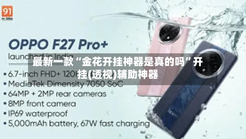 最新一款“金花开挂神器是真的吗”开挂(透视)辅助神器-第2张图片