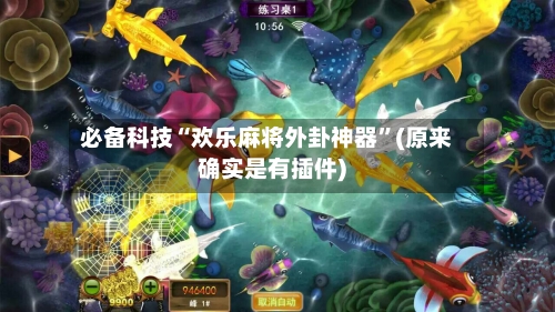 必备科技“欢乐麻将外卦神器”(原来确实是有插件)-第3张图片