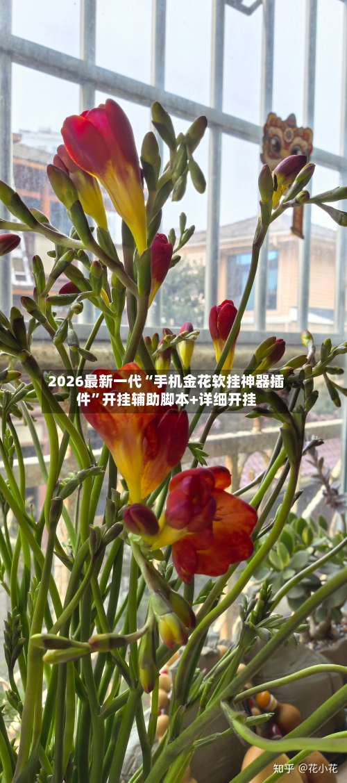 2026最新一代“手机金花软挂神器插件”开挂辅助脚本+详细开挂-第2张图片