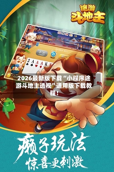 2026最新版下载“小程序途游斗地主透视”通用版下载教程！-第2张图片