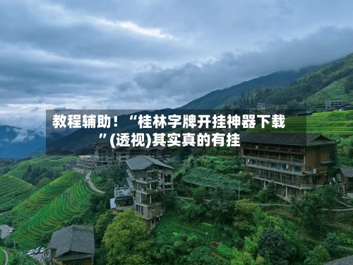 教程辅助！“桂林字牌开挂神器下载”(透视)其实真的有挂-第2张图片