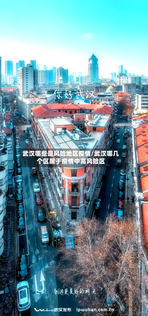 武汉哪些是风险地区疫情/武汉哪几个区属于疫情中高风险区