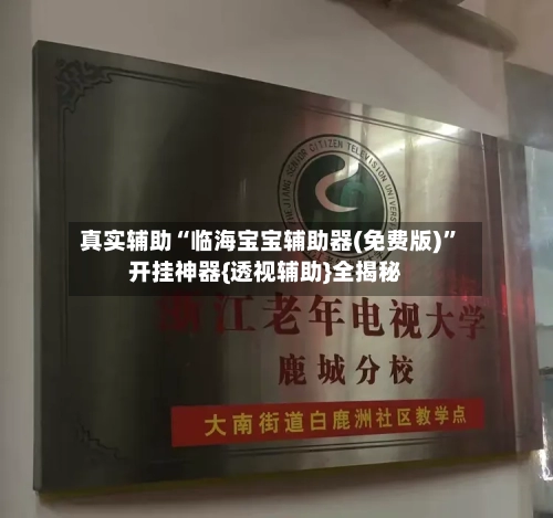 真实辅助“临海宝宝辅助器(免费版)”开挂神器{透视辅助}全揭秘-第2张图片