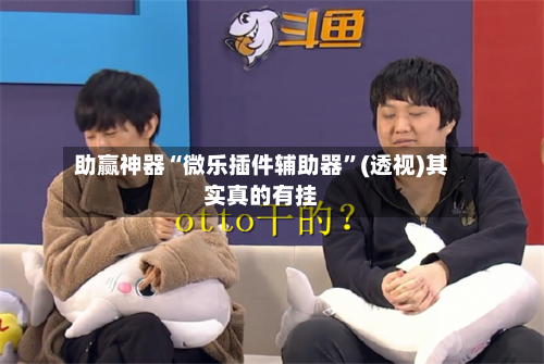 助赢神器“微乐插件辅助器”(透视)其实真的有挂-第2张图片