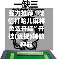 强力推荐“微信打哈儿麻将免费开挂”开挂(透视)辅助神器-第2张图片