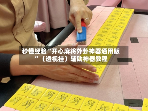 秒懂经验“开心麻将外卦神器通用版”（透视挂）辅助神器教程-第2张图片