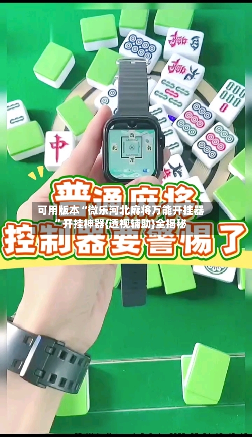 可用版本“微乐河北麻将万能开挂器	”开挂神器{透视辅助}全揭秘-第2张图片