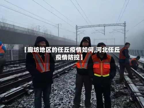 【廊坊地区的任丘疫情如何,河北任丘疫情防控】