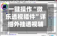 一键操作“微乐透视插件”详细外挂透视辅助软件教程-第3张图片