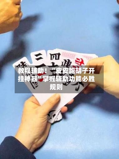 教程辅助！“皮皮跑胡子开挂神器	”掌握辅助功能必胜规则-第2张图片