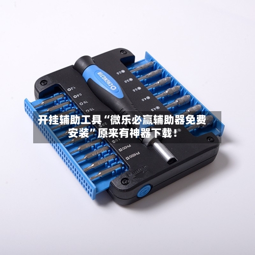 开挂辅助工具“微乐必赢辅助器免费安装”原来有神器下载！-第3张图片