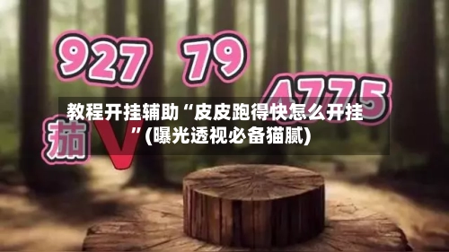 教程开挂辅助“皮皮跑得快怎么开挂”(曝光透视必备猫腻)-第3张图片