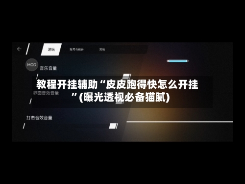 教程开挂辅助“皮皮跑得快怎么开挂”(曝光透视必备猫腻)-第2张图片