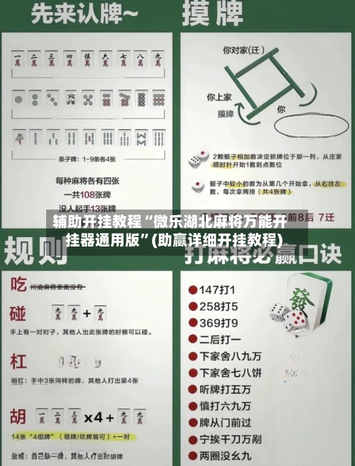 辅助开挂教程“微乐湖北麻将万能开挂器通用版”(助赢详细开挂教程)-第3张图片