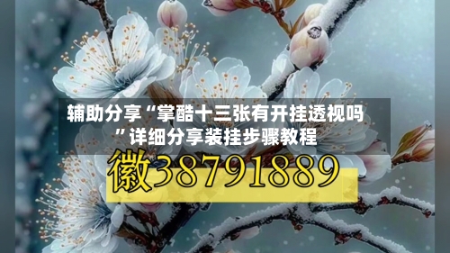 辅助分享“掌酷十三张有开挂透视吗”详细分享装挂步骤教程-第2张图片