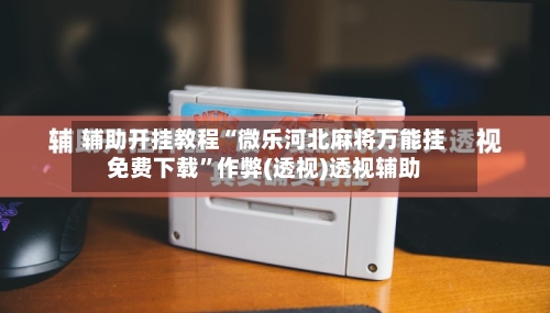 辅助开挂教程“微乐河北麻将万能挂免费下载”作弊(透视)透视辅助-第2张图片