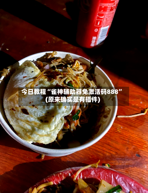 今日教程“雀神辅助器免激活码888”(原来确实是有插件)-第3张图片