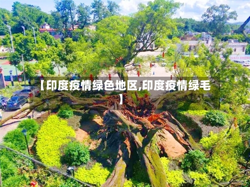 【印度疫情绿色地区,印度疫情绿毛】