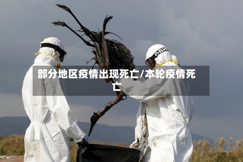 部分地区疫情出现死亡/本轮疫情死亡-第3张图片