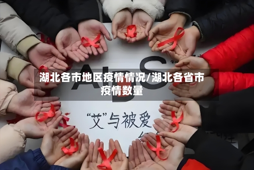 湖北各市地区疫情情况/湖北各省市疫情数量