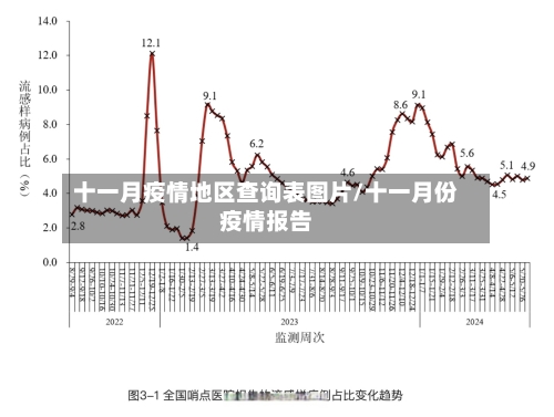 十一月疫情地区查询表图片/十一月份疫情报告