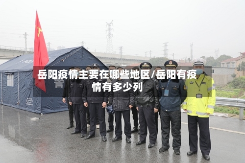 岳阳疫情主要在哪些地区/岳阳有疫情有多少列-第2张图片