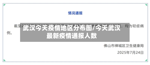 武汉今天疫情地区分布图/今天武汉最新疫情通报人数-第3张图片