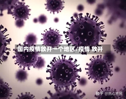 国内疫情放开一个地区/疫情 放开