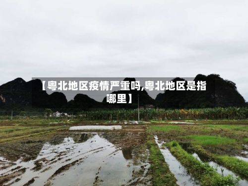 【粤北地区疫情严重吗,粤北地区是指哪里】-第2张图片