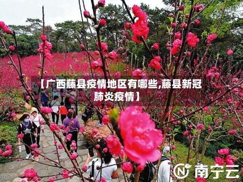 【广西藤县疫情地区有哪些,藤县新冠肺炎疫情】-第1张图片