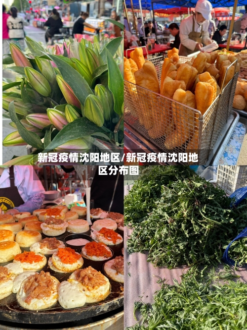 新冠疫情沈阳地区/新冠疫情沈阳地区分布图-第3张图片