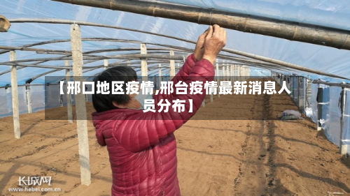 【邢口地区疫情,邢台疫情最新消息人员分布】