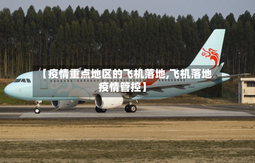 【疫情重点地区的飞机落地,飞机落地疫情管控】-第3张图片