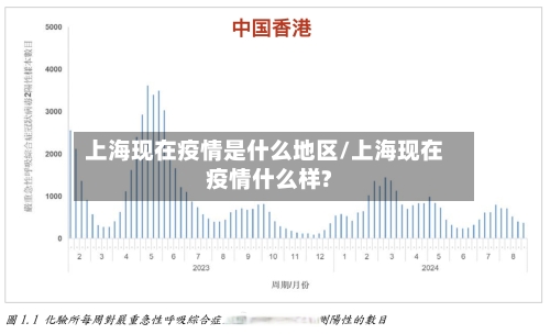 上海现在疫情是什么地区/上海现在疫情什么样?
