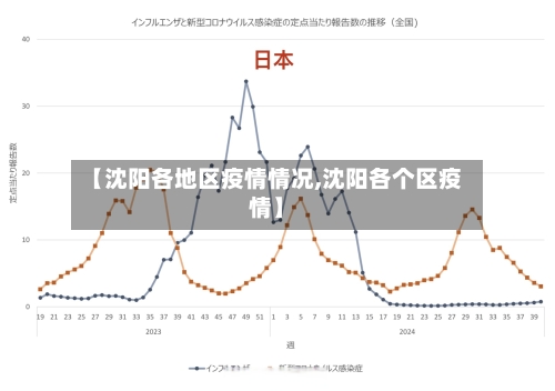 【沈阳各地区疫情情况,沈阳各个区疫情】