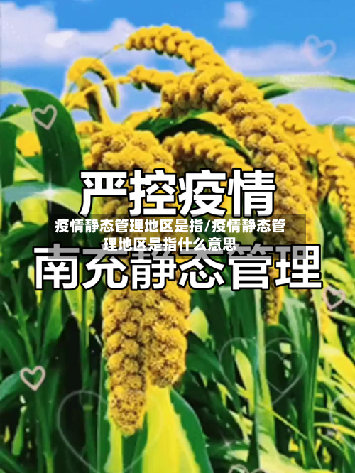 疫情静态管理地区是指/疫情静态管理地区是指什么意思