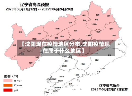 【沈阳现在疫情地区分布,沈阳疫情现在属于什么地区】-第2张图片
