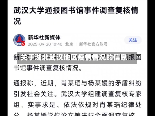 关于湖北武汉地区疫情情况的信息-第3张图片