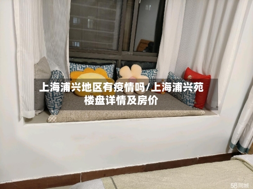 上海浦兴地区有疫情吗/上海浦兴苑楼盘详情及房价-第2张图片
