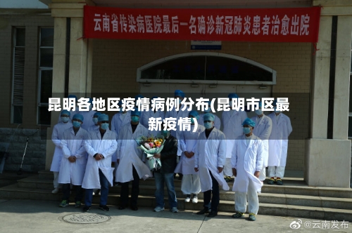 昆明各地区疫情病例分布(昆明市区最新疫情)-第2张图片