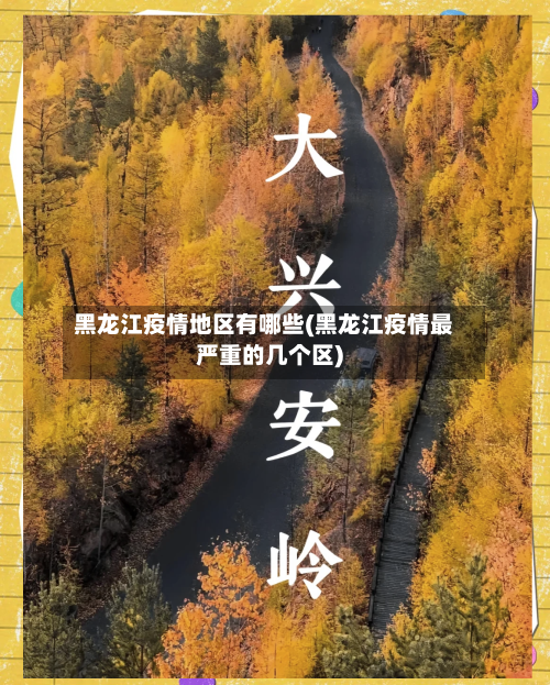 黑龙江疫情地区有哪些(黑龙江疫情最严重的几个区)-第3张图片