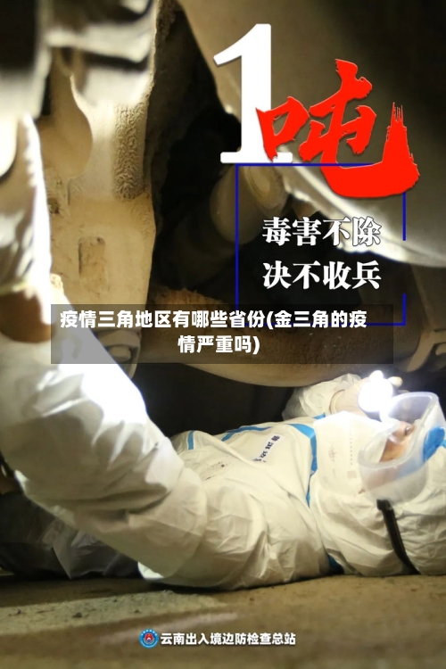 疫情三角地区有哪些省份(金三角的疫情严重吗)-第2张图片