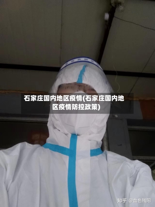 石家庄国内地区疫情(石家庄国内地区疫情防控政策)-第3张图片